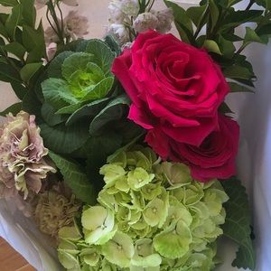 Meet your Posher, Phoebe